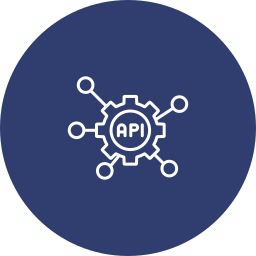 Custom API Integration